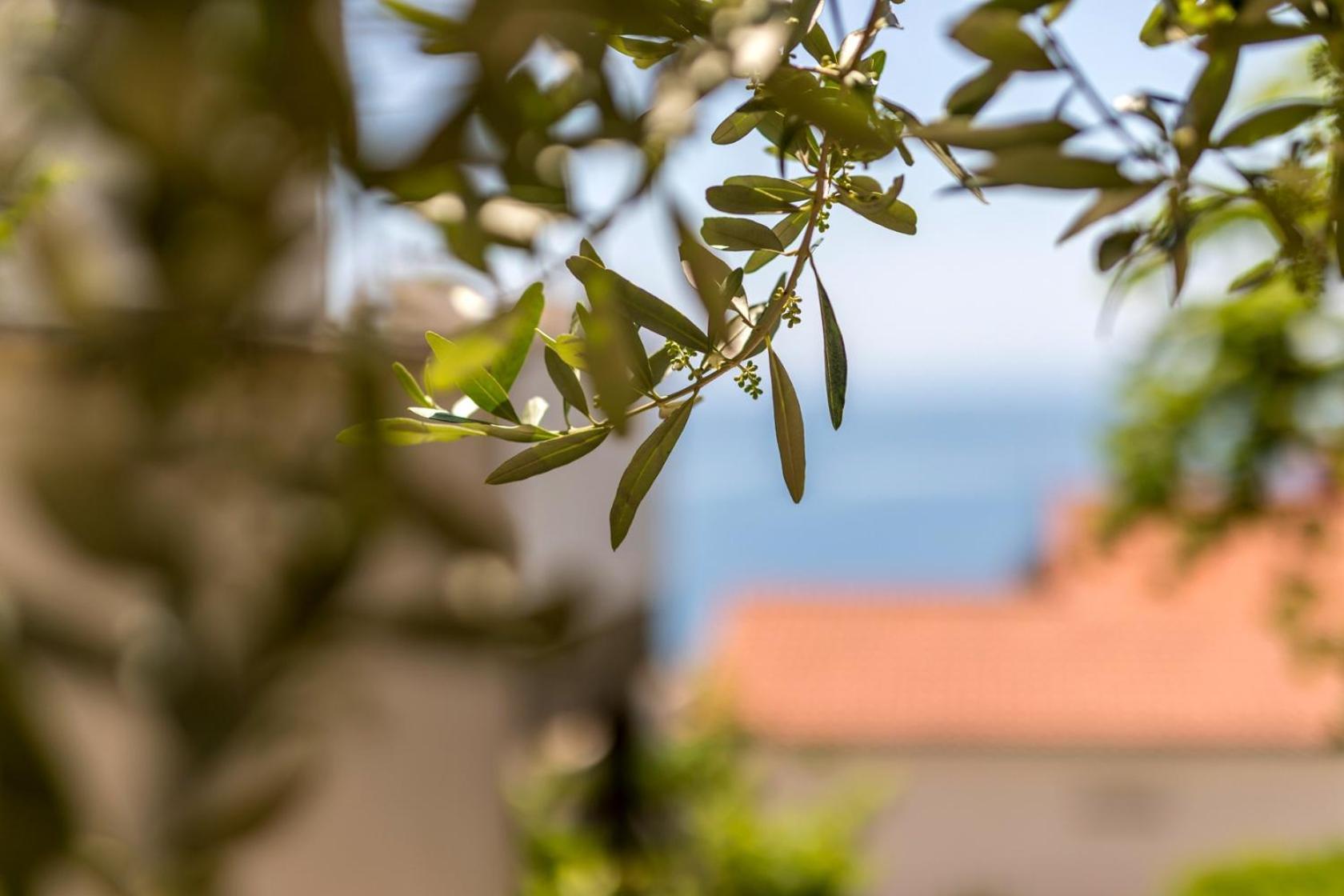 Apartments With A Parking Space Baska Voda, Makarska - 301 ภายนอก รูปภาพ